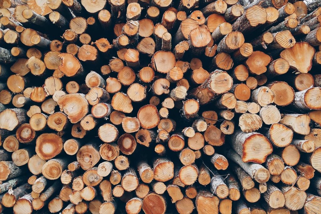 木の家に使用される木材の種類